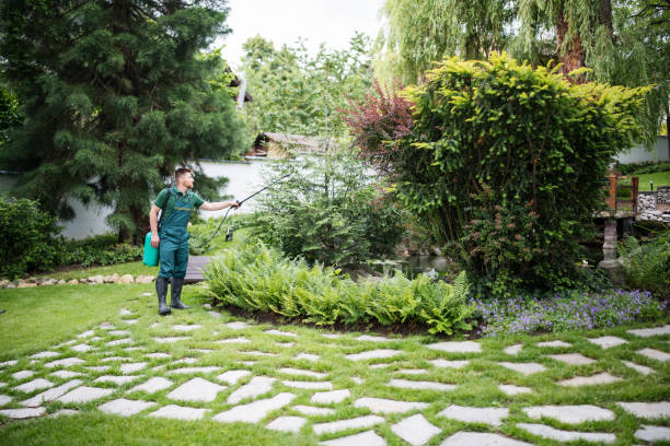 Best Mosquito Control Services  in West Conshohocken, PA