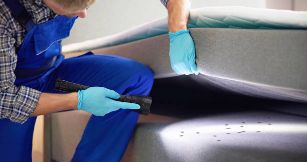 Best Pest Removal Services  in West Conshohocken, PA